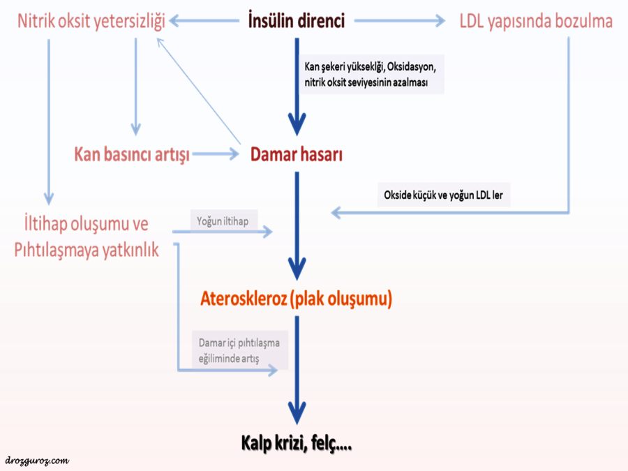 Açıklama: F:\internet sitesi\insülin direnci ve şişmanlık\ins. dir-5.png